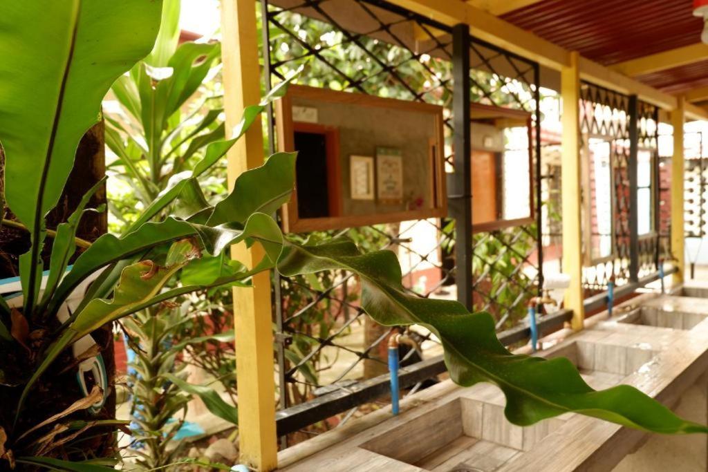 Tropical Breeze Hostel Cebu - Cebu Center Exterior foto